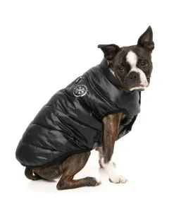 FuzzYard Hakuba Jacket - Black