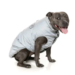 FuzzYard Hakuba Jacket - Reflective