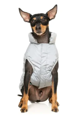 FuzzYard Hakuba Jacket - Reflective