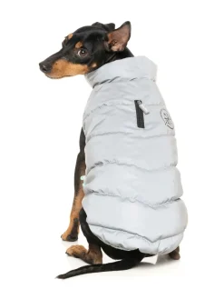 FuzzYard Hakuba Jacket - Reflective