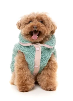 FuzzYard Hana Jacket - Sage