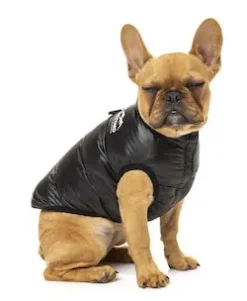 FuzzYard Harlem Puffer Jacket Black