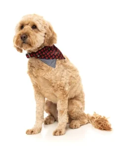 FuzzYard Heartbreaker - Bandana