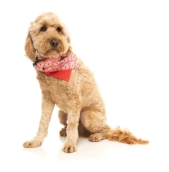 FuzzYard Hey There Sweetie - Bandana