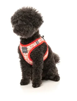 FuzzYard Hey There Sweetie - Step In Harness