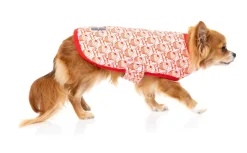 FuzzYard Hey There Sweetie Wrap Vest