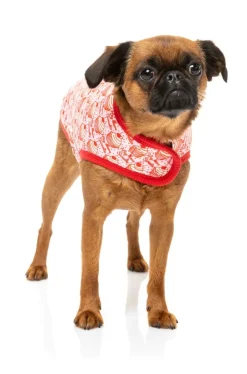 FuzzYard Hey There Sweetie Wrap Vest