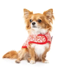 FuzzYard Hey There Sweetie Wrap Vest