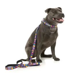 FuzzYard Highscore - Dog Leash