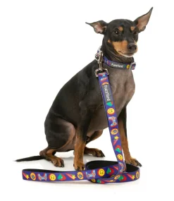 FuzzYard Highscore - Dog Leash