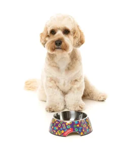 FuzzYard Highscore - Easy Feeder Bowl