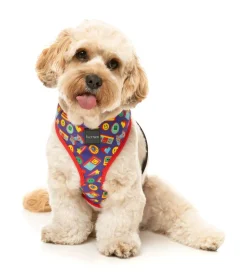 FuzzYard Highscore - Harness