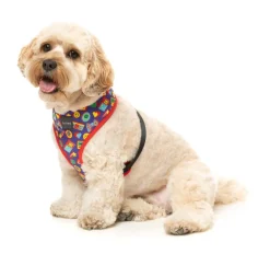 FuzzYard Highscore - Harness