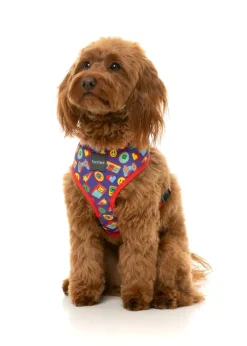 FuzzYard Highscore - Harness