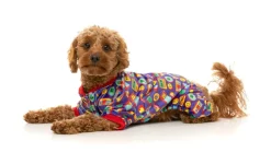 FuzzYard Highscore - Pajamas