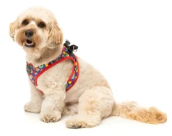 FuzzYard Highscore - Step In Harness