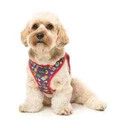 FuzzYard Highscore - Step In Harness