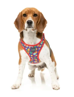 FuzzYard Highscore - Step In Harness