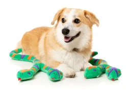 FuzzYard Hissy Elliot - Dog Toy