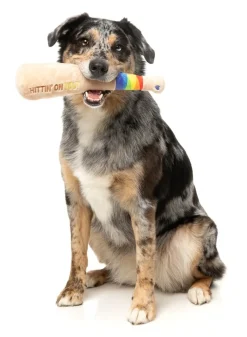 FuzzYard Hittin' On You Bat - Dog Toy