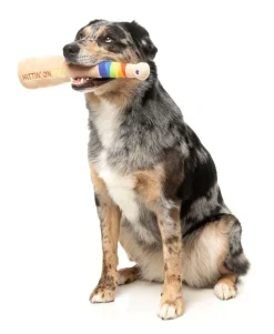 FuzzYard Hittin' On You Bat - Dog Toy