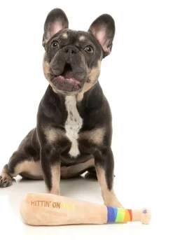 FuzzYard Hittin' On You Bat - Dog Toy