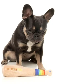 FuzzYard Hittin' On You Bat - Dog Toy