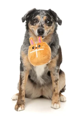 FuzzYard Hot Cross Bunny - Dog Toy