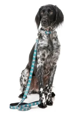 FuzzYard I Heart Candy Canes - Dog Lead