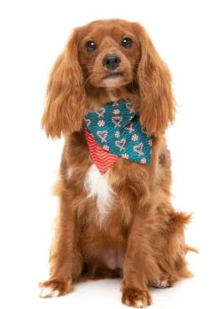 FuzzYard I Heart Candy Canes - Dog 2 Pack