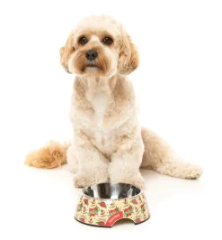 FuzzYard Ink'd Up - Easy Feeder Bowl