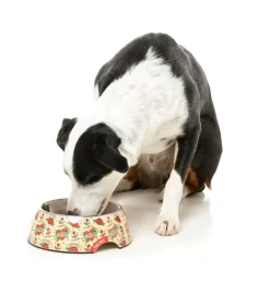 FuzzYard Ink'd Up - Easy Feeder Bowl