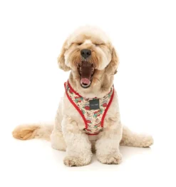 FuzzYard Ink'd Up - Step In Harness