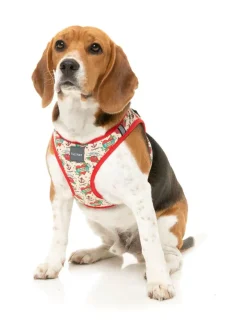 FuzzYard Ink'd Up - Step In Harness