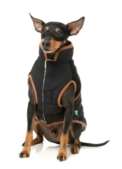 FuzzYard Ivanhoe Jacket - Black