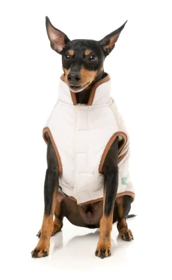 FuzzYard Ivanhoe Jacket - Ivory