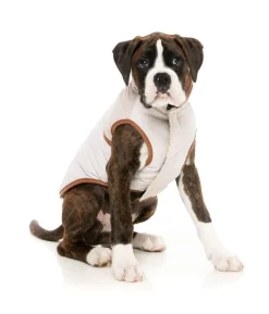 FuzzYard Ivanhoe Jacket - Ivory