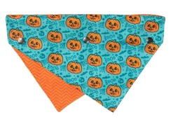 FuzzYard Jack Jack Jackie Lantern - Bandana - Teal