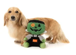FuzzYard Jack-O Chan Frankenstein - Dog Toy