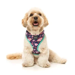 FuzzYard Jackpup - Harness