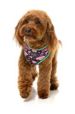 FuzzYard Jackpup - Harness