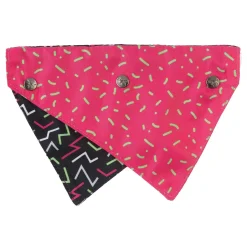 FuzzYard Juicy Pet Bandana