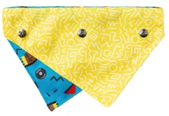 FuzzYard Kings of Gold School Bandana