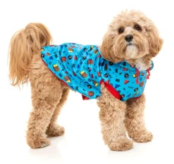 FuzzYard Kings of Gold School Hoodie