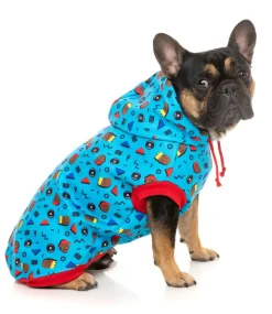 FuzzYard Kings of Gold School Hoodie