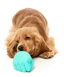 FuzzYard Knuckle Sandwich - Interactive Chew Toy