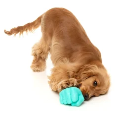 FuzzYard Knuckle Sandwich - Interactive Chew Toy