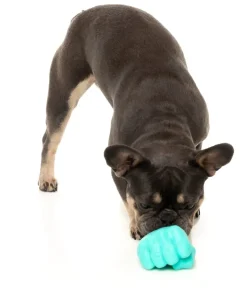 FuzzYard Knuckle Sandwich - Interactive Chew Toy
