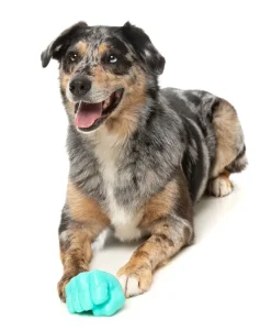 FuzzYard Knuckle Sandwich - Interactive Chew Toy