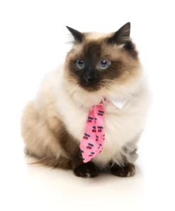 FuzzYard Lady Cherrybomb Necktie
